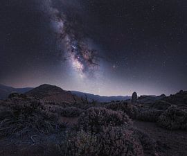 Starlit Wonder of the Milky Way Over Cañadas Del Teide National by PhotoCluster