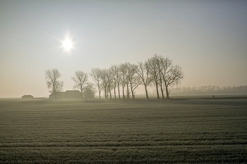Brouillard sur les champs sur Patricia Hofmeester