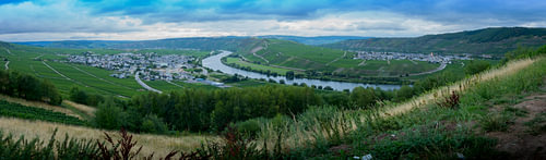 Trittenheim, Moezel