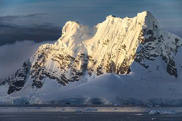 Goud licht in Antarctica van Koen Hoekemeijer