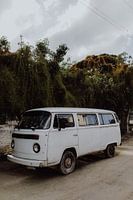 Isla Holbox
