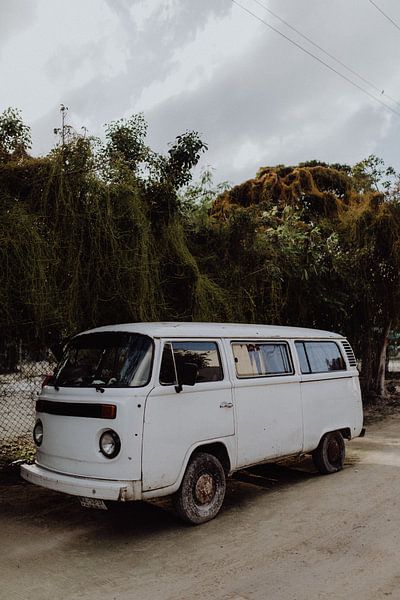 Isla Holbox par Britt Laske
