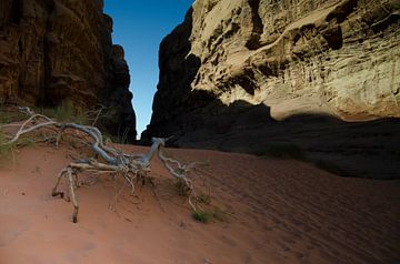 Erosion II by hans scholte