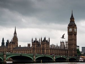 Big Ben, Big Bird sur Lex Schulte