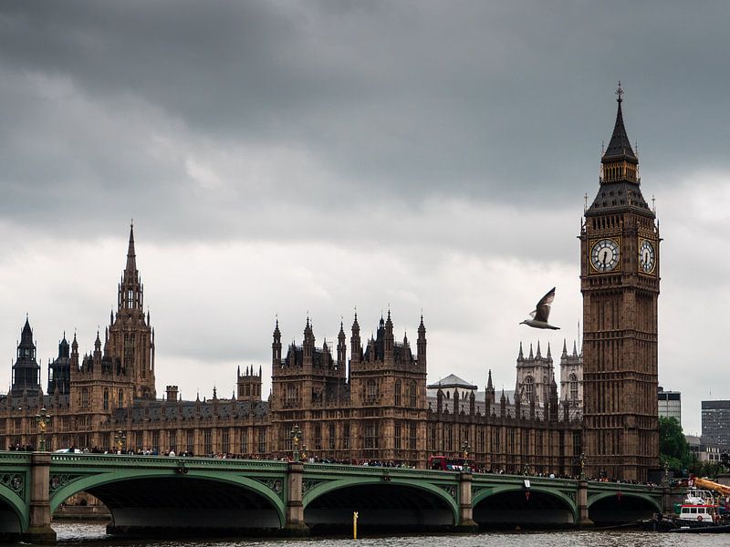 Big Ben, Big Bird par Lex Schulte