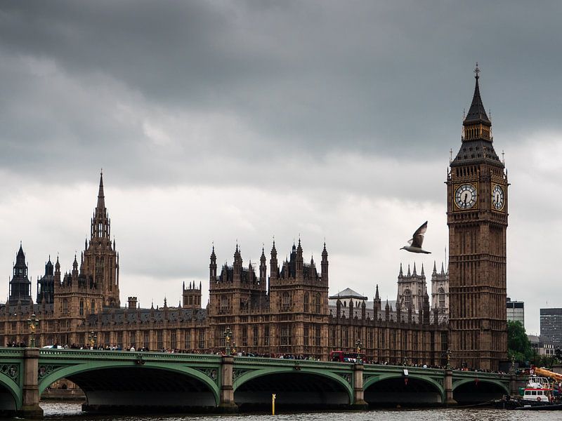 Big Ben, Big Bird van Lex Schulte