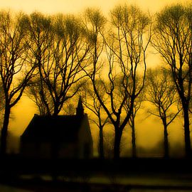 Humeur brumeuse sur Juliën van de Hoef