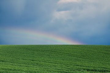 Hellgrüne Wiese mit dunklen Gewitterwolken und Regenbogen | Landschaft von Daan Duvillier | Dsquared Photography