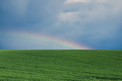 Prairie d'un vert éclatant avec des nuages sombres et un arc-en-ciel | Paysage