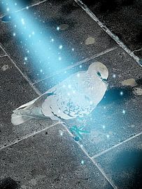 Bijzondere duif by Renee Alexandra Serlier