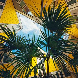 Cube houses (1:1) by Lolke Bergsma