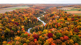 The Breathing Forest: An Aerial Autumn Canopy by GabruPawPixels