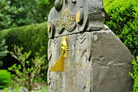 Zonnewijzer