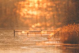 Ein Nachmittag am See von Regina Steudte | photoGina