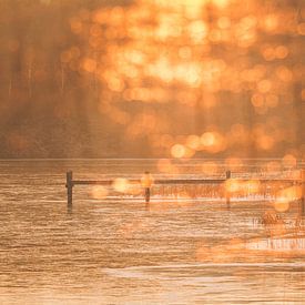 Een middag aan het meer van Regina Steudte | photoGina