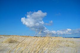 Paysage de dunes avec un phare au loin sur Theodor Decker