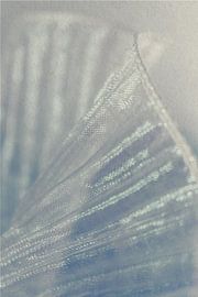 Shimmering folds - iridescent depth in delicate fabric by Mixed media vector arts