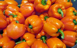 orange paprika on the floriade show 2012 van ChrisWillemsen