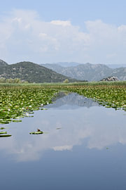 Cruise route on Lake Shkodër by Erik Buitenhuis