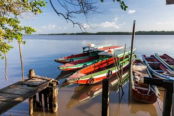 Boten op de Commewijne  rivier, Suriname van Marcel Bakker