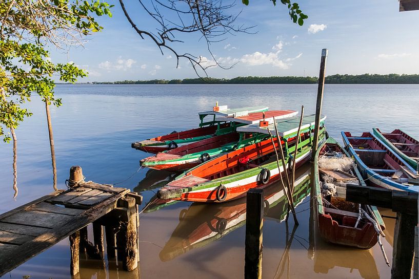 Boten op de Commewijne  rivier, Suriname van Marcel Bakker