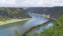 Vue automnale sur le Rhin