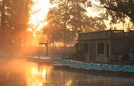 Parc de la Tête d'Or