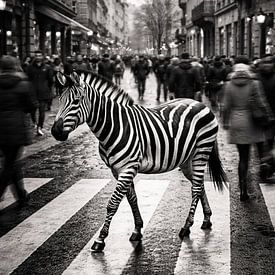 Camouflage urbain : zèbre monochrome surréaliste sur un passage piéton en ville sur Dodik Hariyono