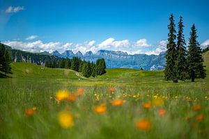 Bloemrijk uitzicht op de Zwitserse Alpen van Leo Schindzielorz