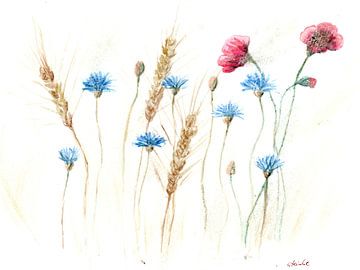 Korenveld met korenbloemen en klaprozen van Sandra Steinke