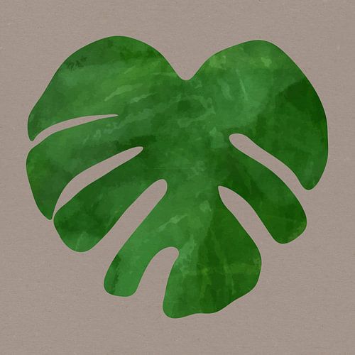 Tropische zomervibes. Monstera palmblad nr. 4