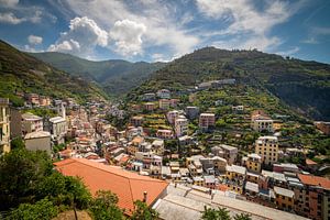 View on Riomaggiore / Cinque Terre von Edwin Mooijaart