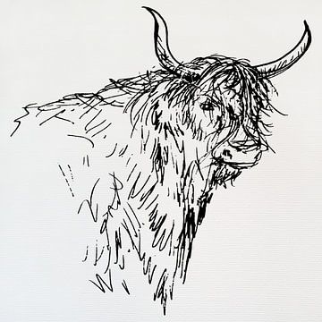 Strichzeichnung einer Kuh von Emiel de Lange