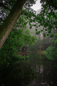 Kroondomein het Loo in de mist van Samantha Rorijs