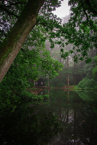Crown Estate Het Loo in the mist by Samantha Rorijs
