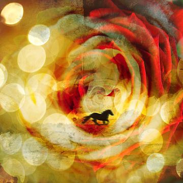 Paard in roos van Anita van Kol