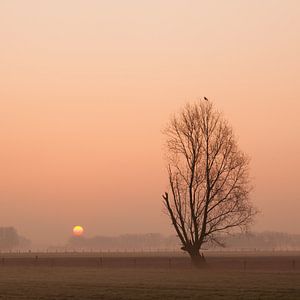 Zonsopkomst