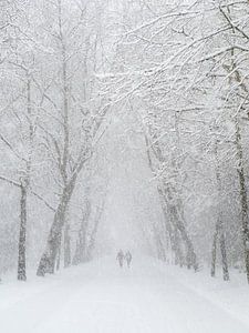 Vondelpark sneeuw wandeling