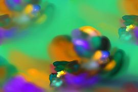 Frühlingsgeknospe by Harry Ucksche