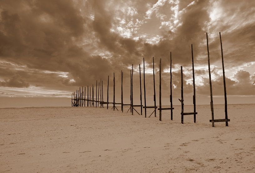 Texel by Jose Lok
