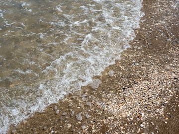 Welle am Strand mit Muscheln