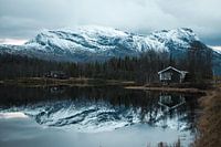 Bergen in het noorden van Scandinavië