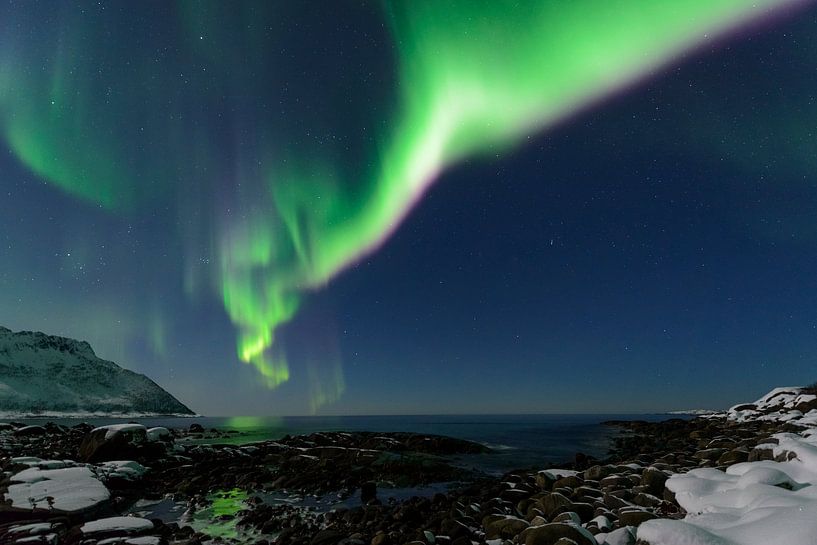 Poollicht of Noorderlicht in de nachthemel boven Noord-Noorwegen van Sjoerd van der Wal Fotografie