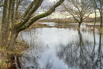 Hoogwater duinlandschap Zwanenwater bij Callantsoog