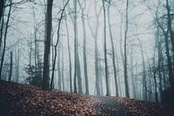 Eerie Forest by Meike Huibers thumbnail