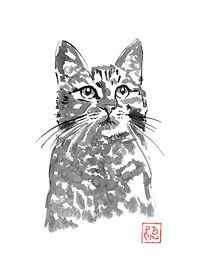 staring cat by Péchane Sumie