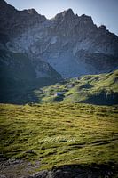 Cabane isolée sur la montagne
