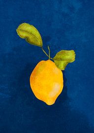 Just a little lemon by Raissa Oltmanns