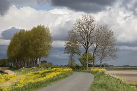 Polder landschap van W J Kok