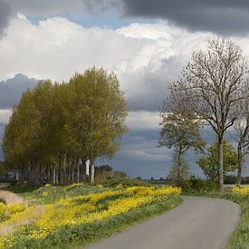 Polder landscape by W J Kok